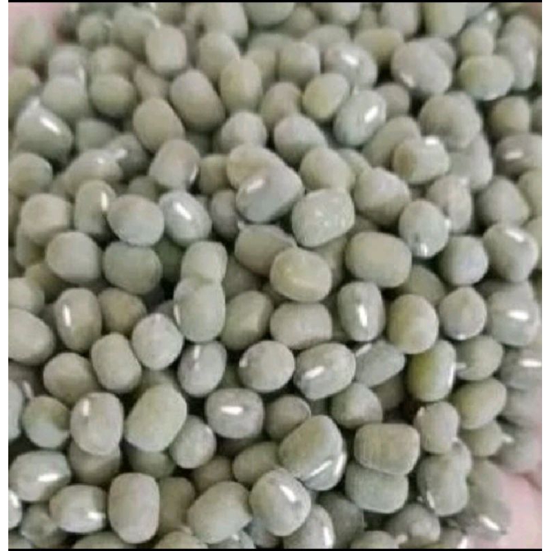 

500gram kacang hijau lokal