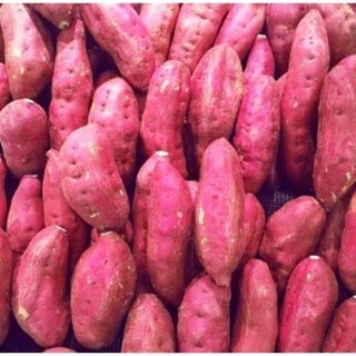 

Ubi Merah Merona Asli Bogor Kemasan 1kg Dan 500grm