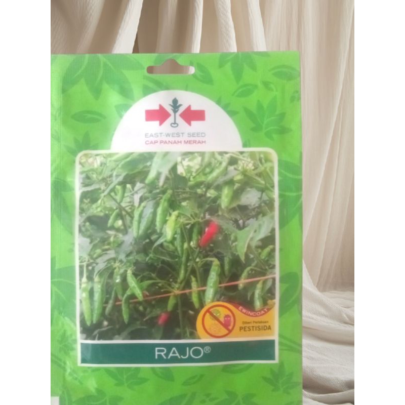 Benih Cabe Cabai Rawit Hijau Rajo Isi 350 Butir Bibit Cabe Rawit Merunduk