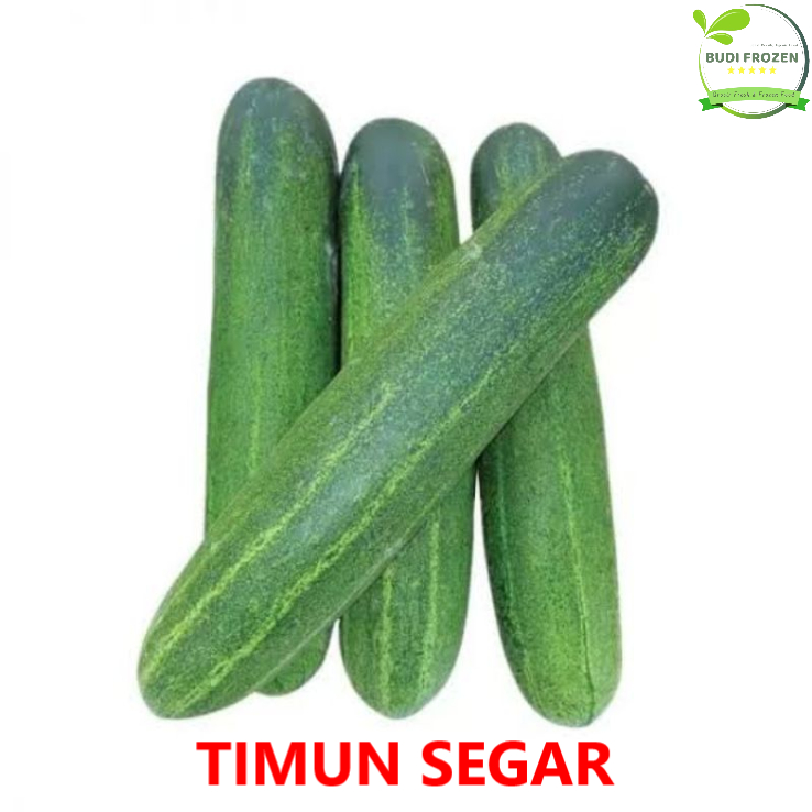 

TIMUN SEGAR / FRESH / MENTIMUN HARGA PASAR