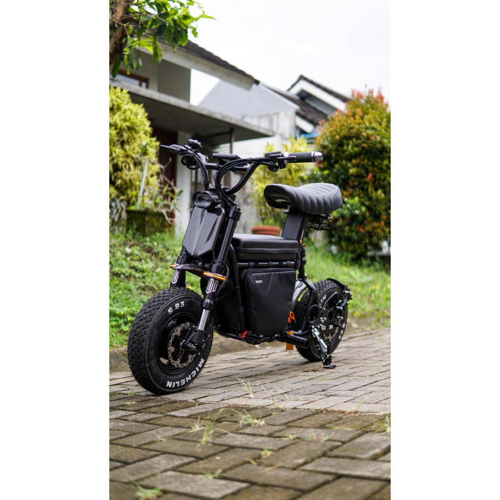 Fiido Q1S Upgrade 72V 5000W Dual Motor LNY