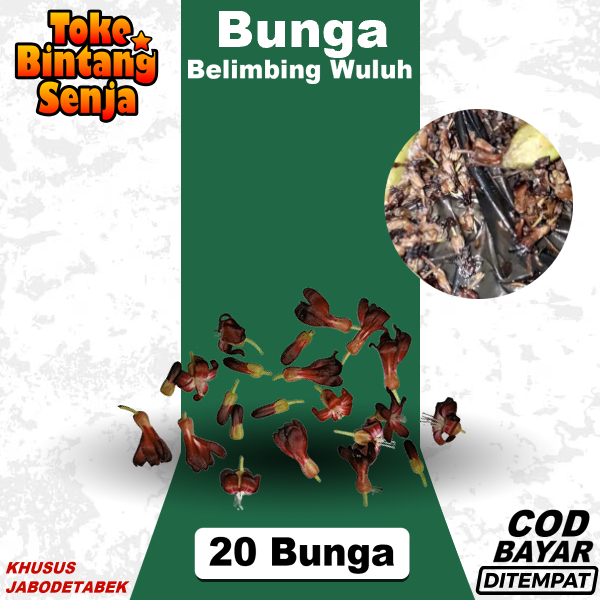 

Bunga Belimbing Wuluh Segar Per 20 Pcs Obat Herbal Batuk (JABODETABEK)