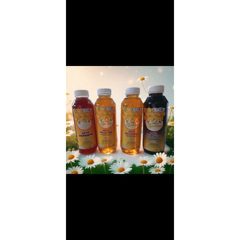 

madu asli