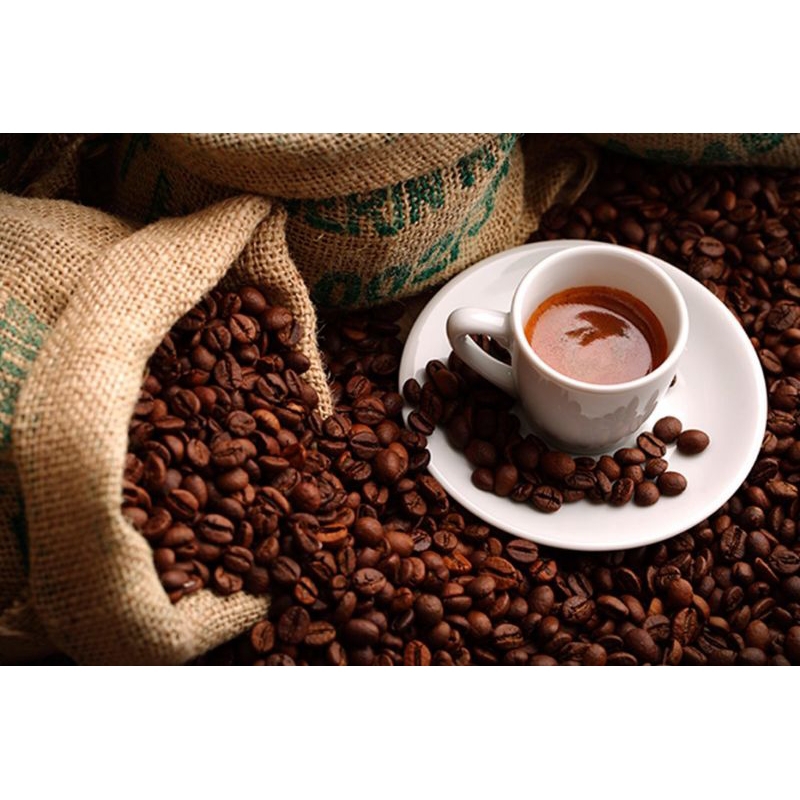 

kopi robusta gayo 1000gr murah