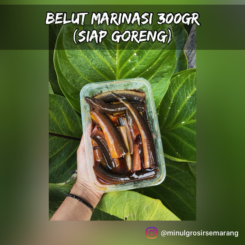 

(frozen food) belut marinasi 300gr (siap goreng)//KHUSUS INSTAN AREA SEMARANG