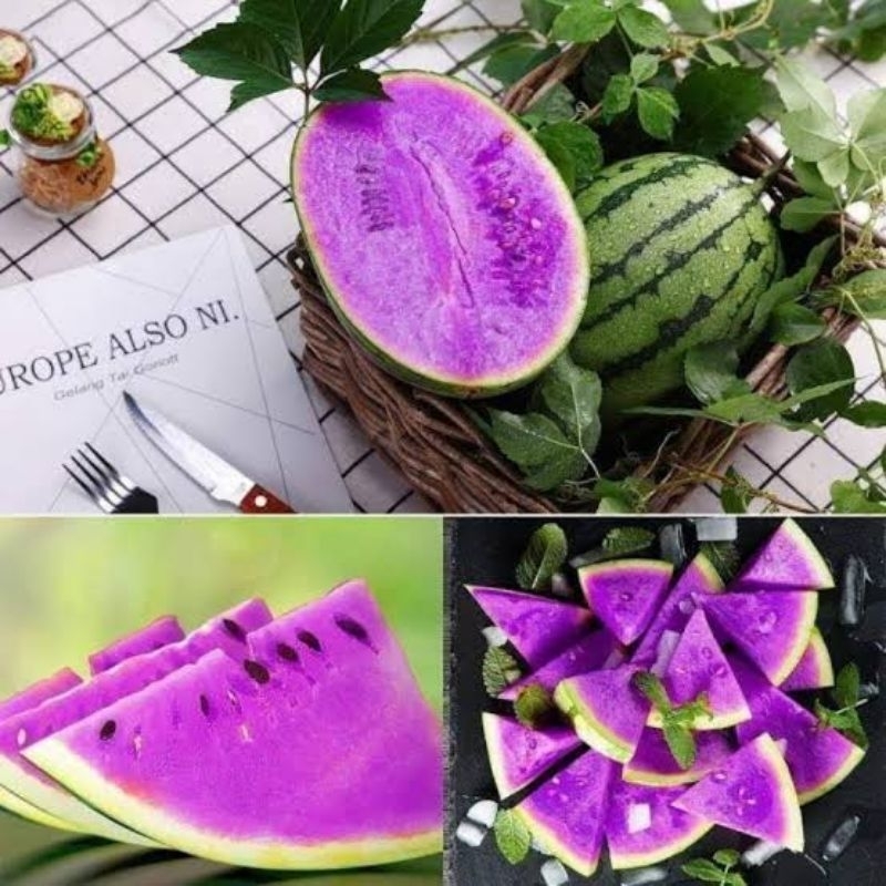 BIBIT SEMANGKA UNGU JUMBO IMPOR 🫒 20 BENIH 🫒 PRODUK NATURAL ORGANIK