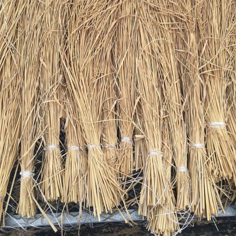 

jermai padi kering bagus perikat berat 1kg