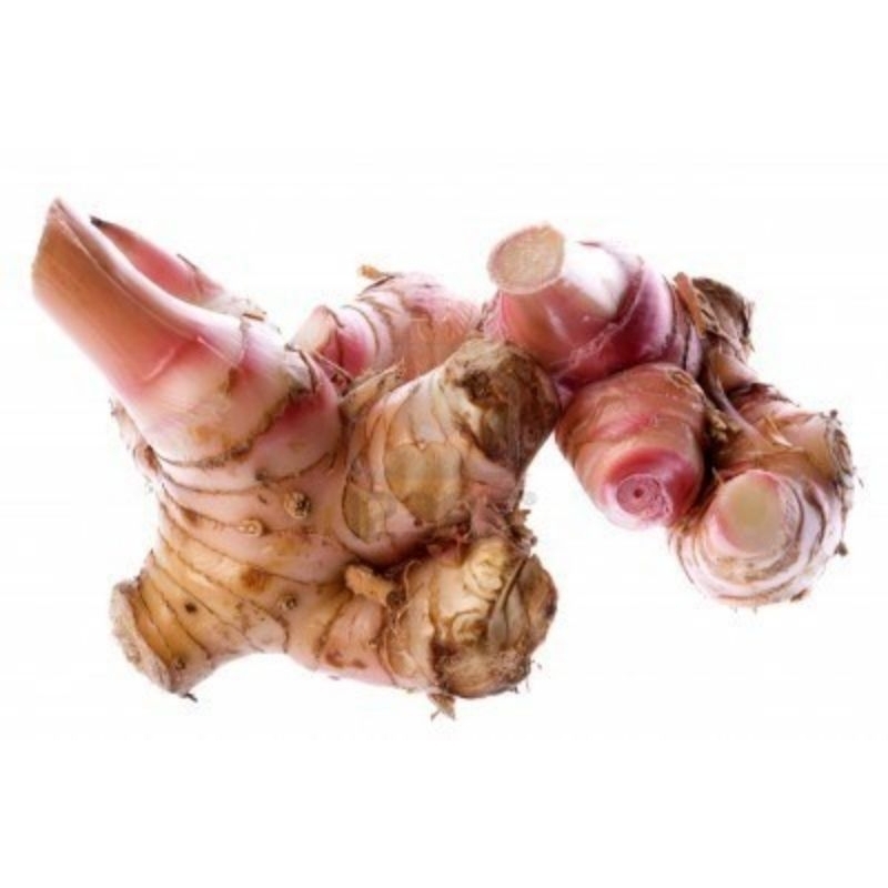 

lengkuas/laos segar.