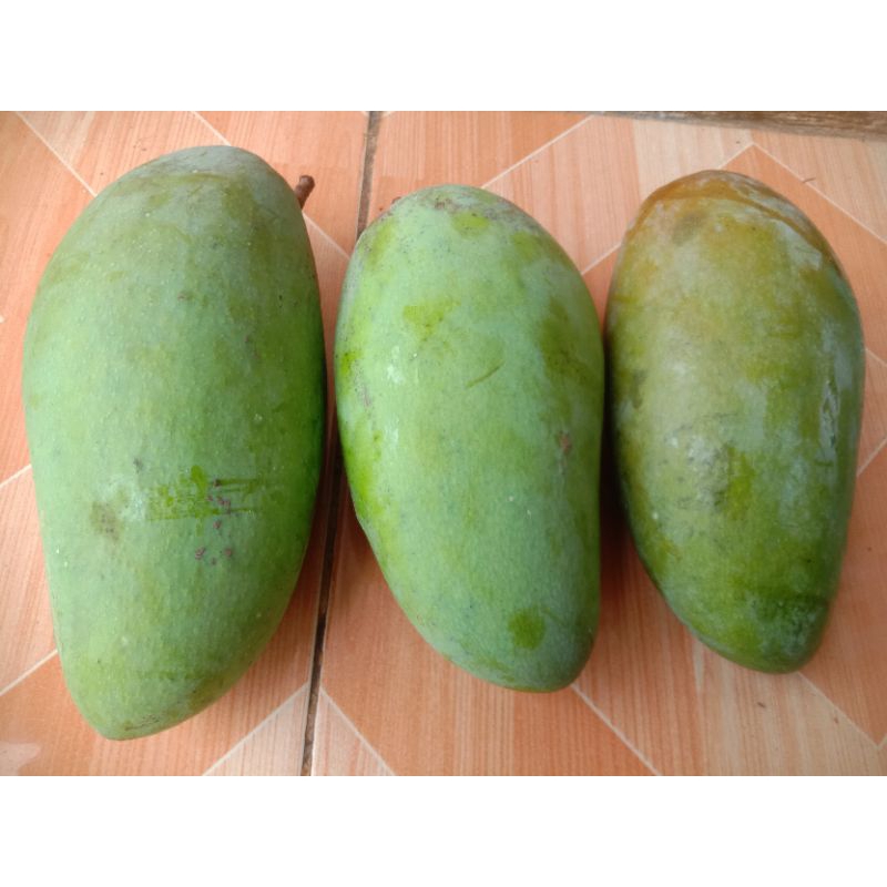 

mangga kiojay 2kg isi 3
