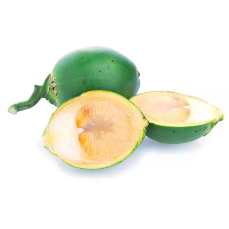 

buah pinang muda segar banyak manfaat dan khasiat 1kg