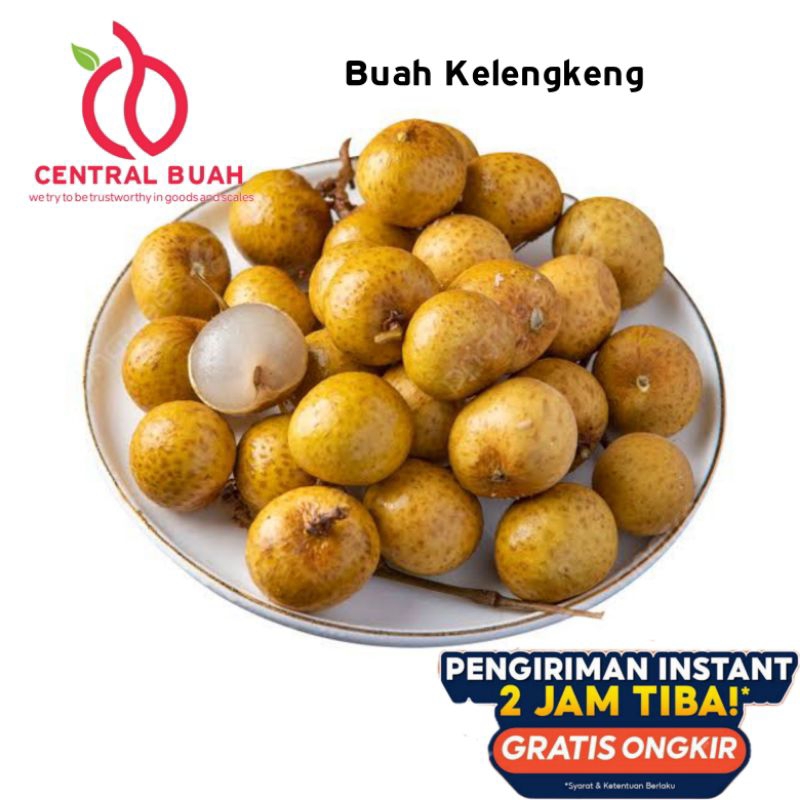 

Buah lengkeng kelengkeng Bangkok 1KG kemasan pouch | buah lengkeng kemasan | buah klengkeng Bangkok | kelengkeng import