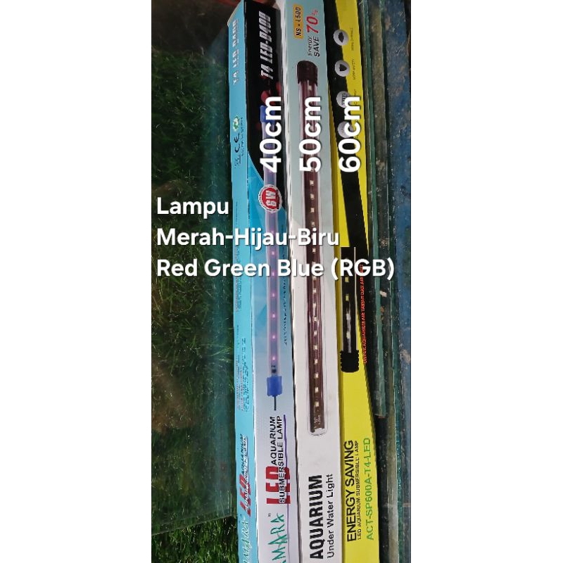 LAMPU LED Aquarium Amara MERAH BIRU HIJAU Red Blue Green 40cm 50cm 60cm