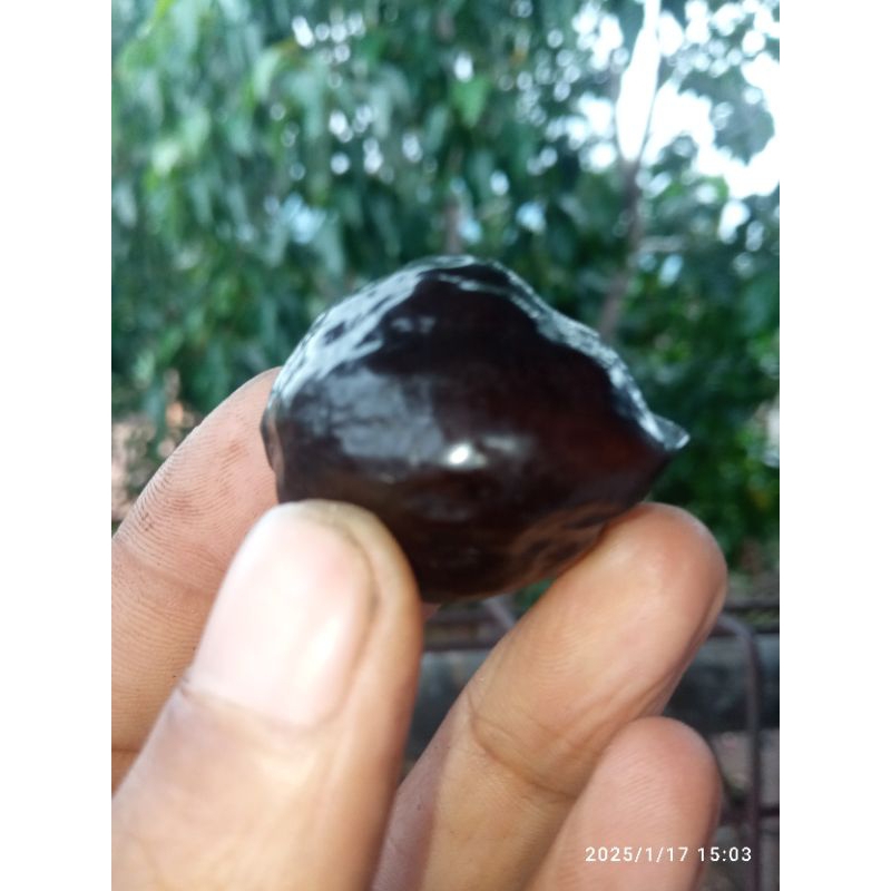 Jalim Garut