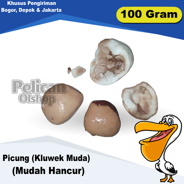 Picung 100 Gram Untuk Di Tumis Klewek Keluak Kepayang Muda Putih Coklat