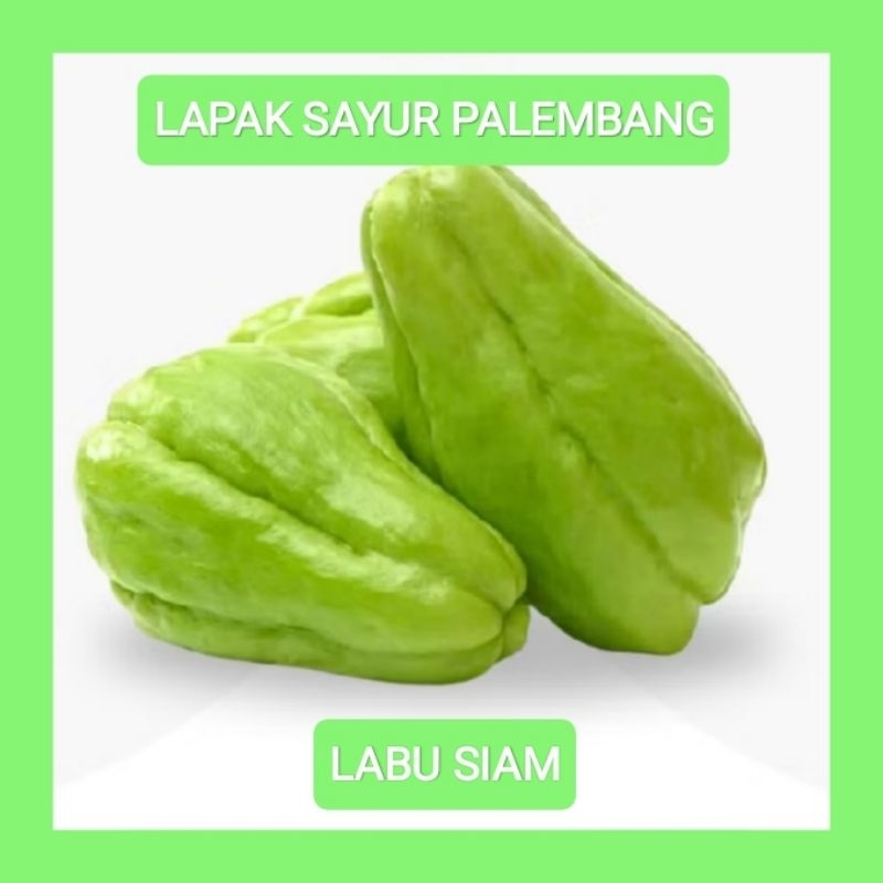 

LABU SIAM