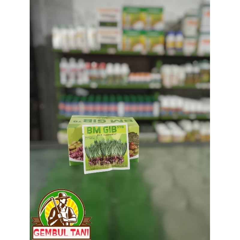 BM GIB 5gr