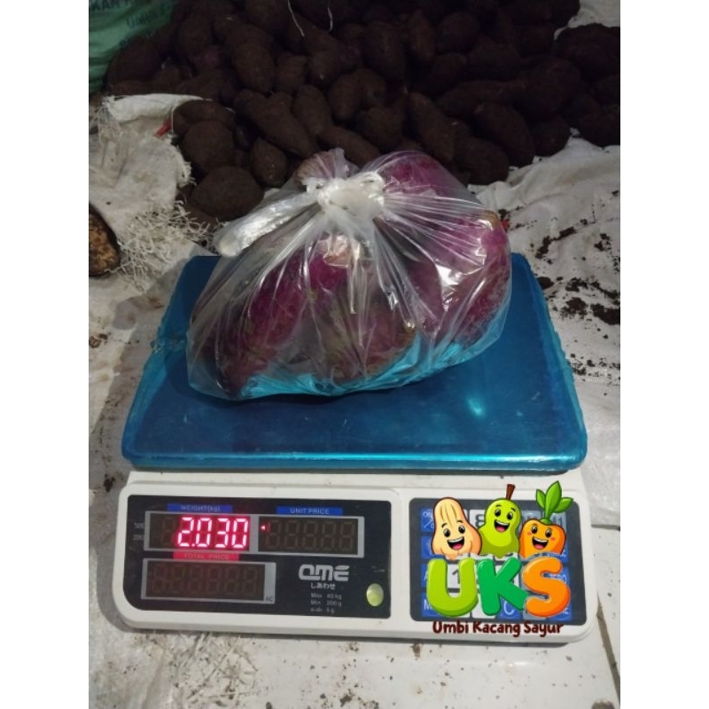 

Ubi Ungu 2kg Super Fresh Langsung Dari Petani