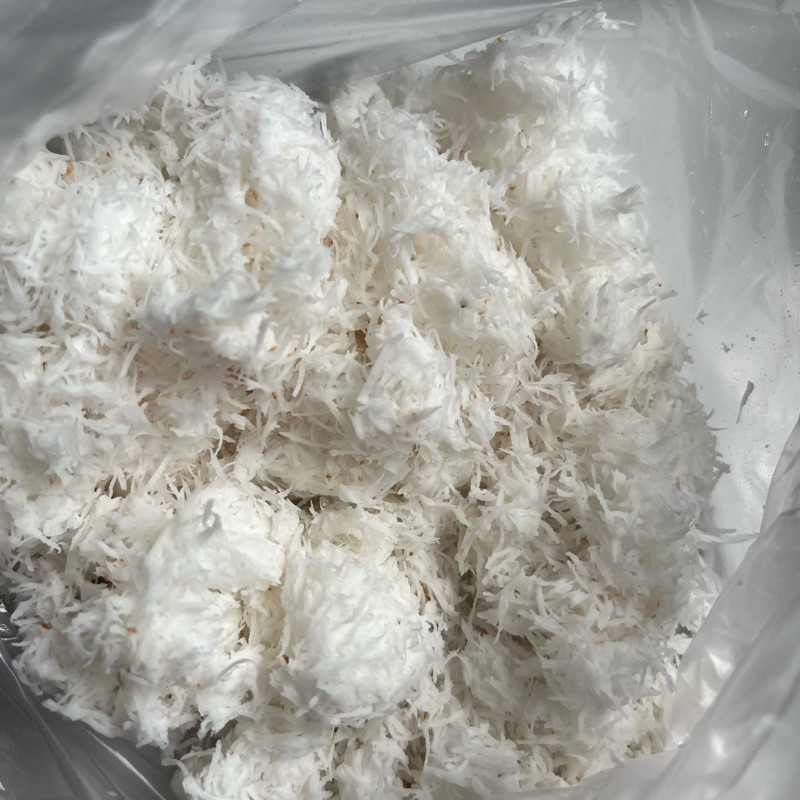 

Nyiur Parut Kelapa Parut