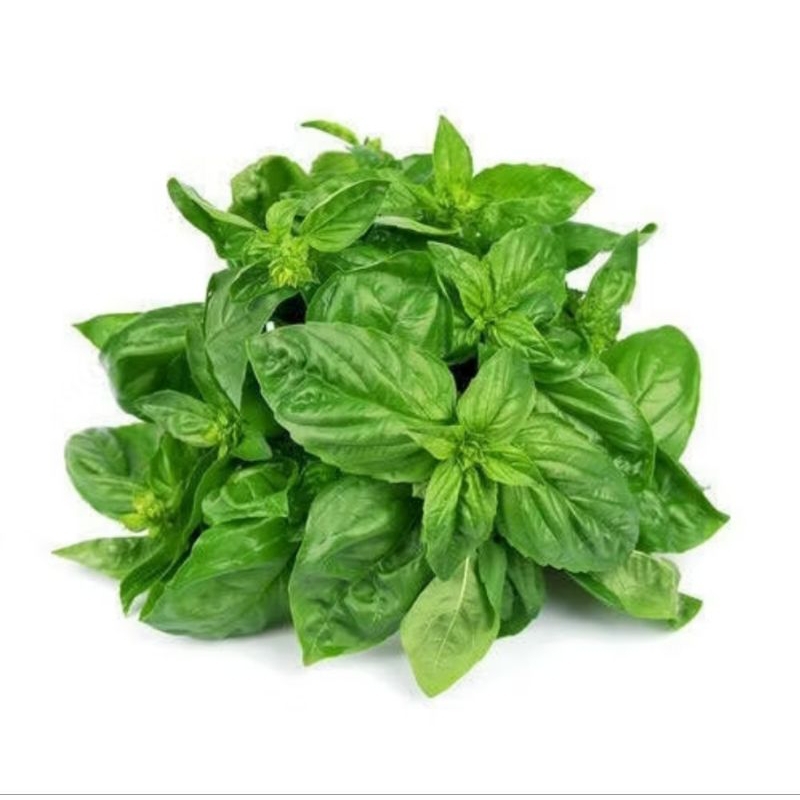 

DAUN SWEET BASIL ITALIAN HERBS SEGAR 100GR