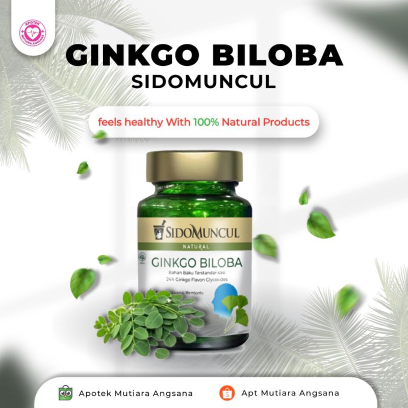 Sidomuncul Ginkgo Biloba Isi 30 Kapsul