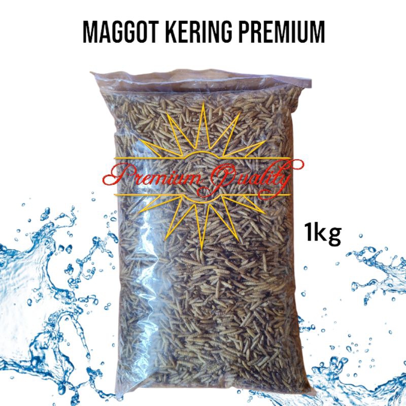Maggot kering BSF PREMIUM 1KG pakan ikan