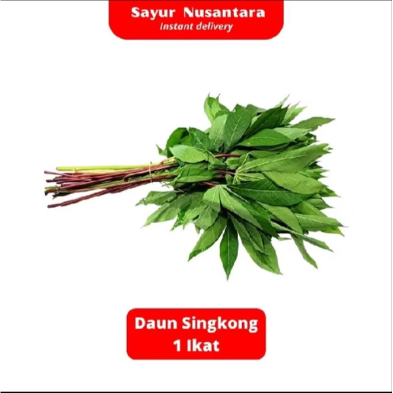 

DAUN SINGKONG 1 IKAT