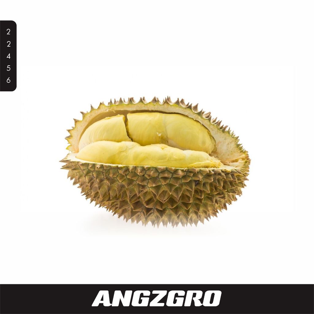 

Durian Lokal 100 gr