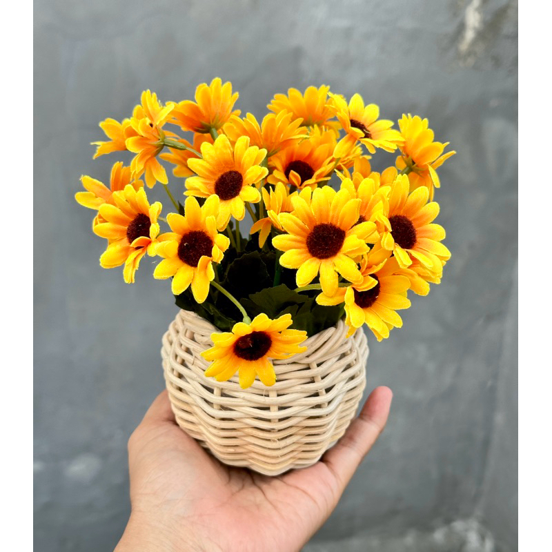 Bunga Mawar Mini + Vas Rotan