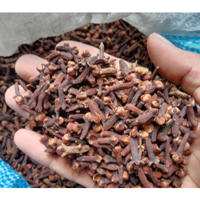 

Cengkeh Kering Berkualitas