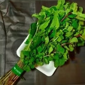 

daun mint. 250grm.Rp.7.000