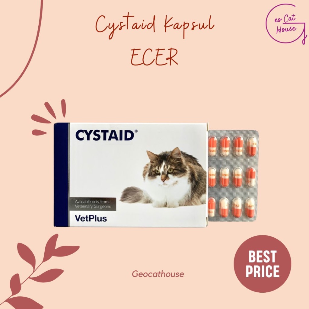 Cystaid Plus CystaidPlus Kapsul ECER Obat Gangguan Saluran Kencing FLUTD