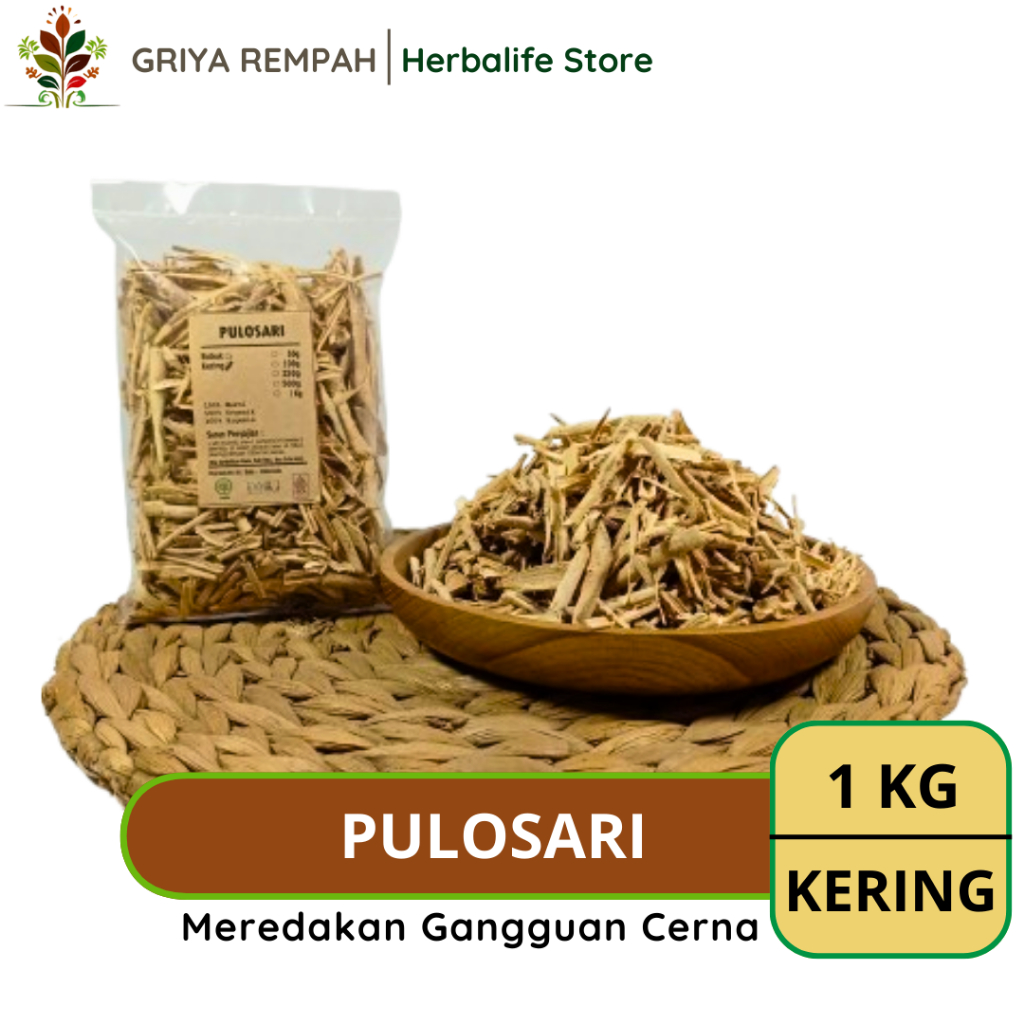 

PULOSARI KERING ALAMI 1 KG Pulasari Ramuan Rempah Herbal Alami Jamu Tradisional untuk Kesehatan Tubuh Simplisia Alyxia reinwardtii