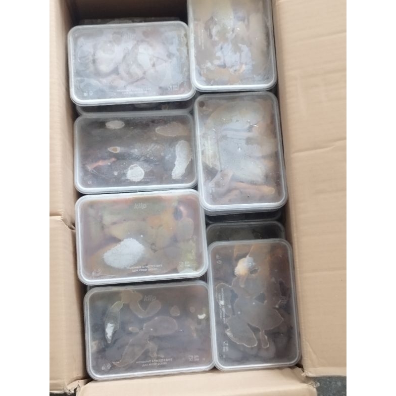 

telur lele kemasan 500gr