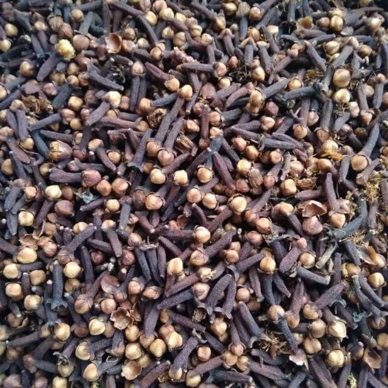 

cengkeh kering / cengkeh bumbu dapur/ Rempah-Rempah