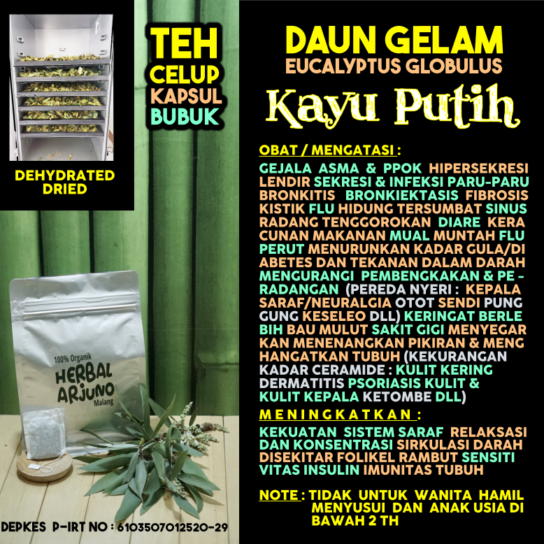 

Dehyrated Dried Teh Celup Kapsul Bubuk Daun Kayu Putih Gelam Obat Asma PPOK Sinus Infeksi Paru-Paru Bronkitis Flu Perut Nyeri Saraf Sendi Otot Keringat Berlebih Bau Mulut Fibrosis Kistik Kulit Gigi Kering Psoriasis Ketombe Diabetes Hipertensi Herbal Alami