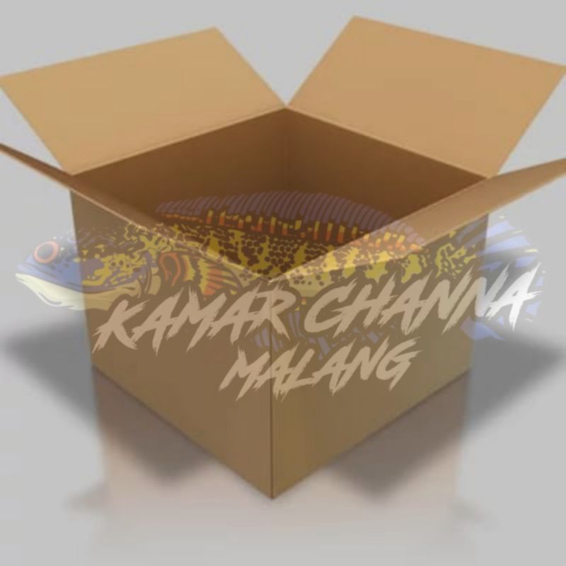 Kotak Isi Channa Andrao Size 6cm