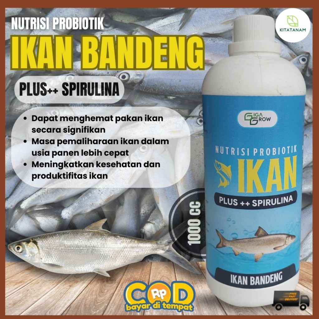 Vitamin Ikan Bandeng, Nutrisi Probiotik Ikan Bandeng, GigaGrow