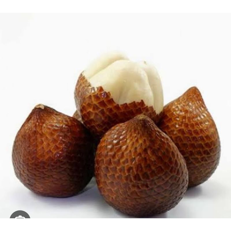 

Salak Pondoh 1kg segar