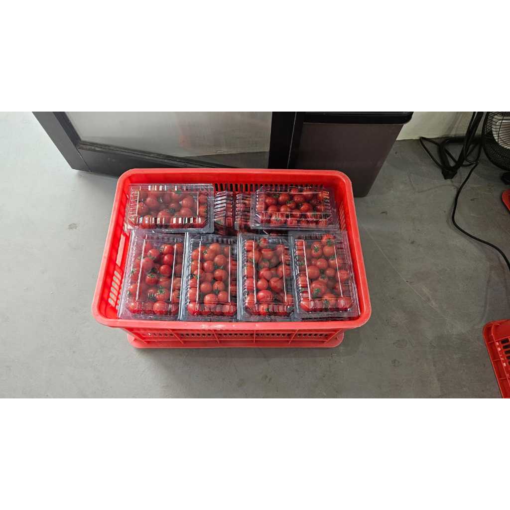 

Tomat cherry premium