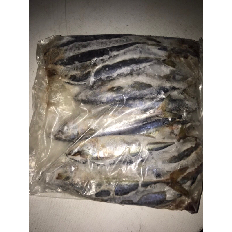

Ikan Layang Fresh Segar 1Kg BERGARANSI