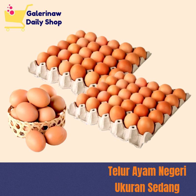 

TELUR Ayam Negeri 10-30 butir ukuran sedang