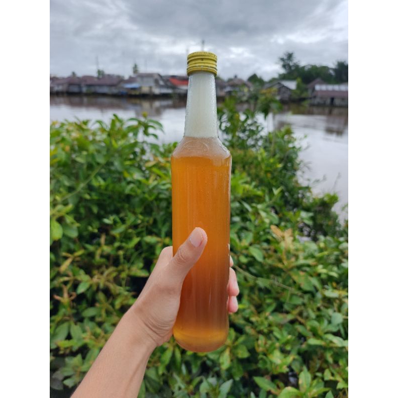 Madu Hutan Asli Kalimantan