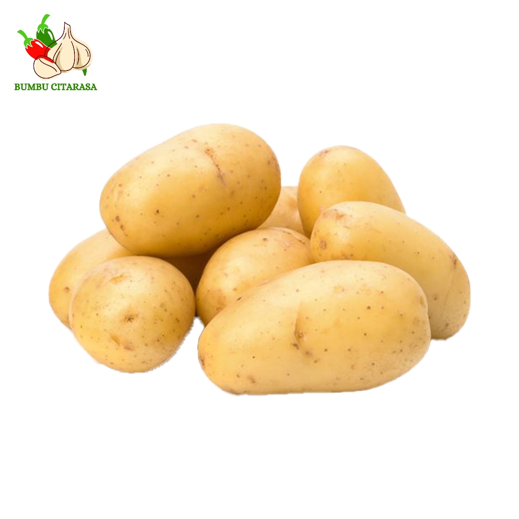 

Kentang dieng super 500 grm murah