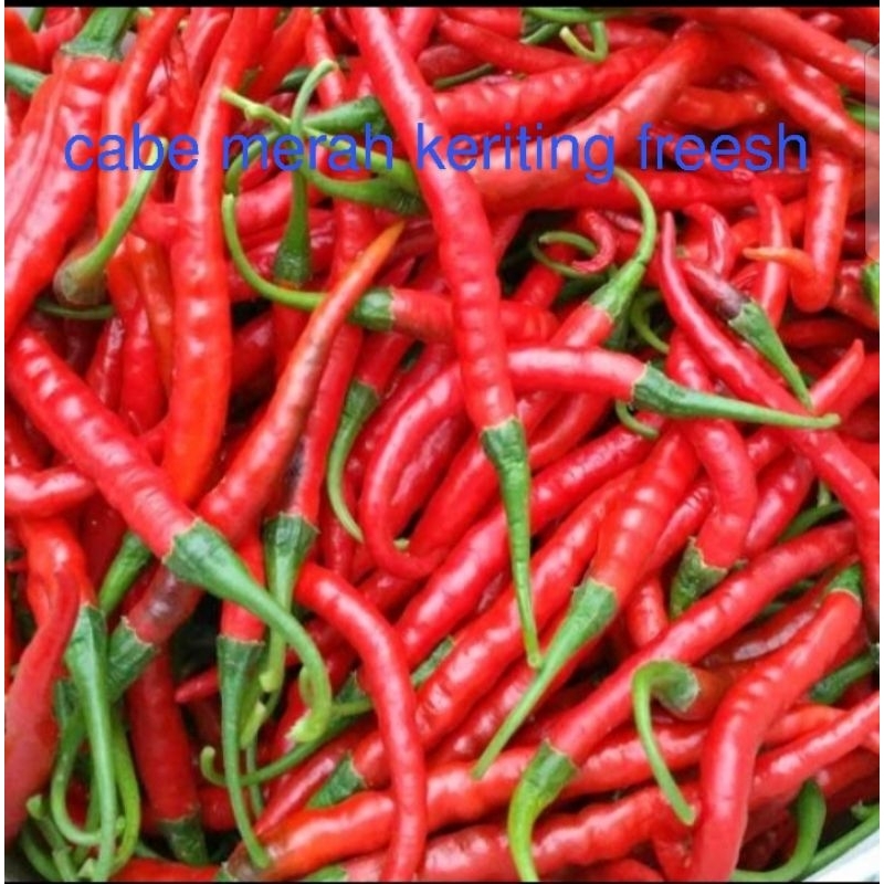 

MURAH PROMO CABE MERAH KERITING 500GR