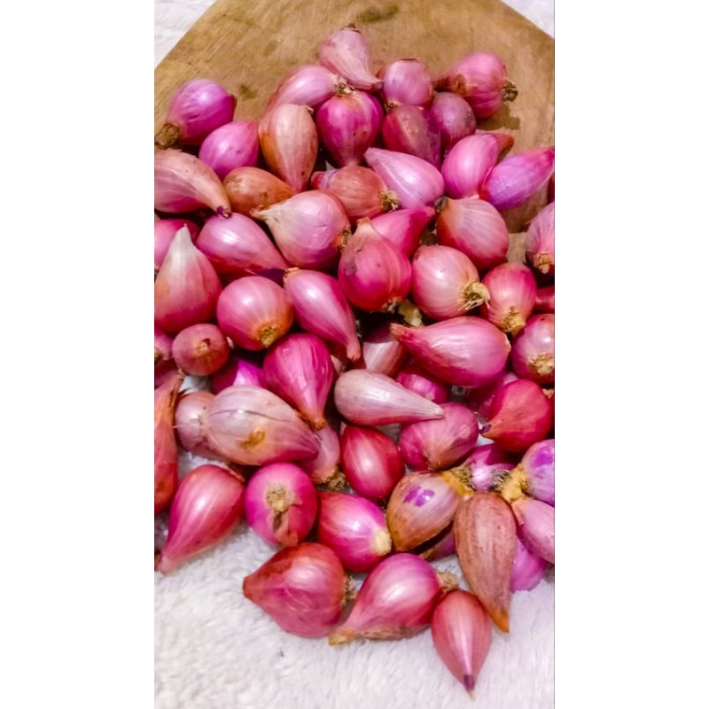 

Bawang Merah Super Berkualitas 1kg