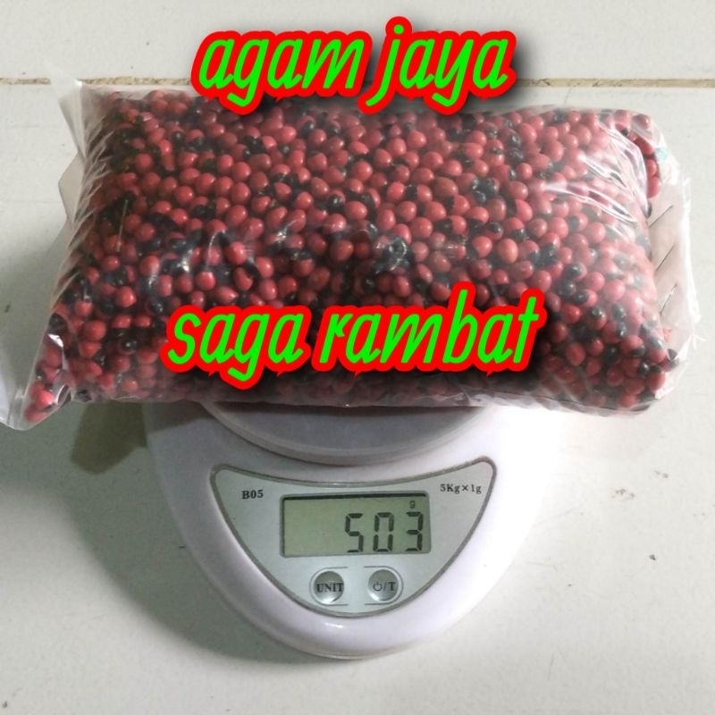 

saga rambat berat 500 gram /setengah kg