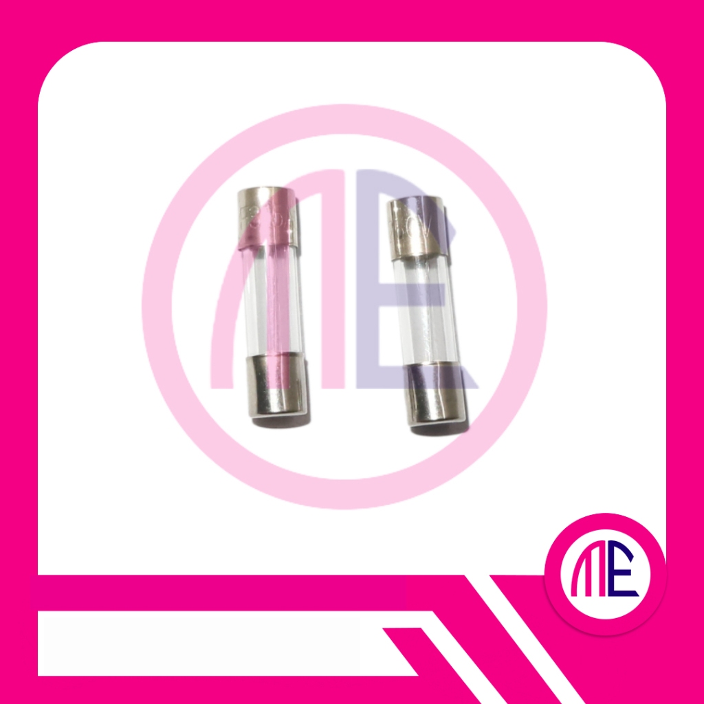 F3.15A250V - 3.15A 250V FUSE GLASS (L= 2 cm W= 0.5 cm)