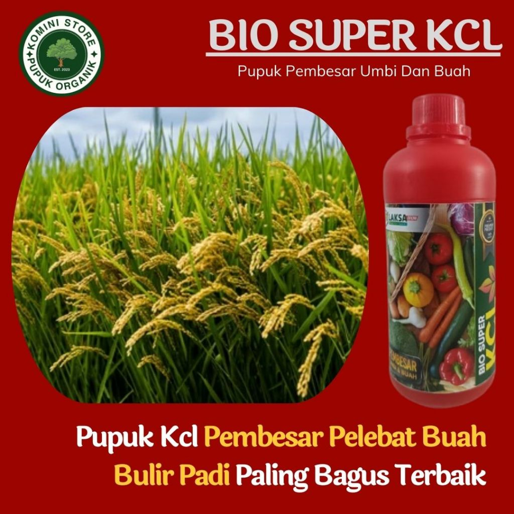 BIO KCL 500ML PUPUK Cair Untuk Booster Buah Bulir Padi Paling Manjur Terbaik - Obat Pengisian Buah P