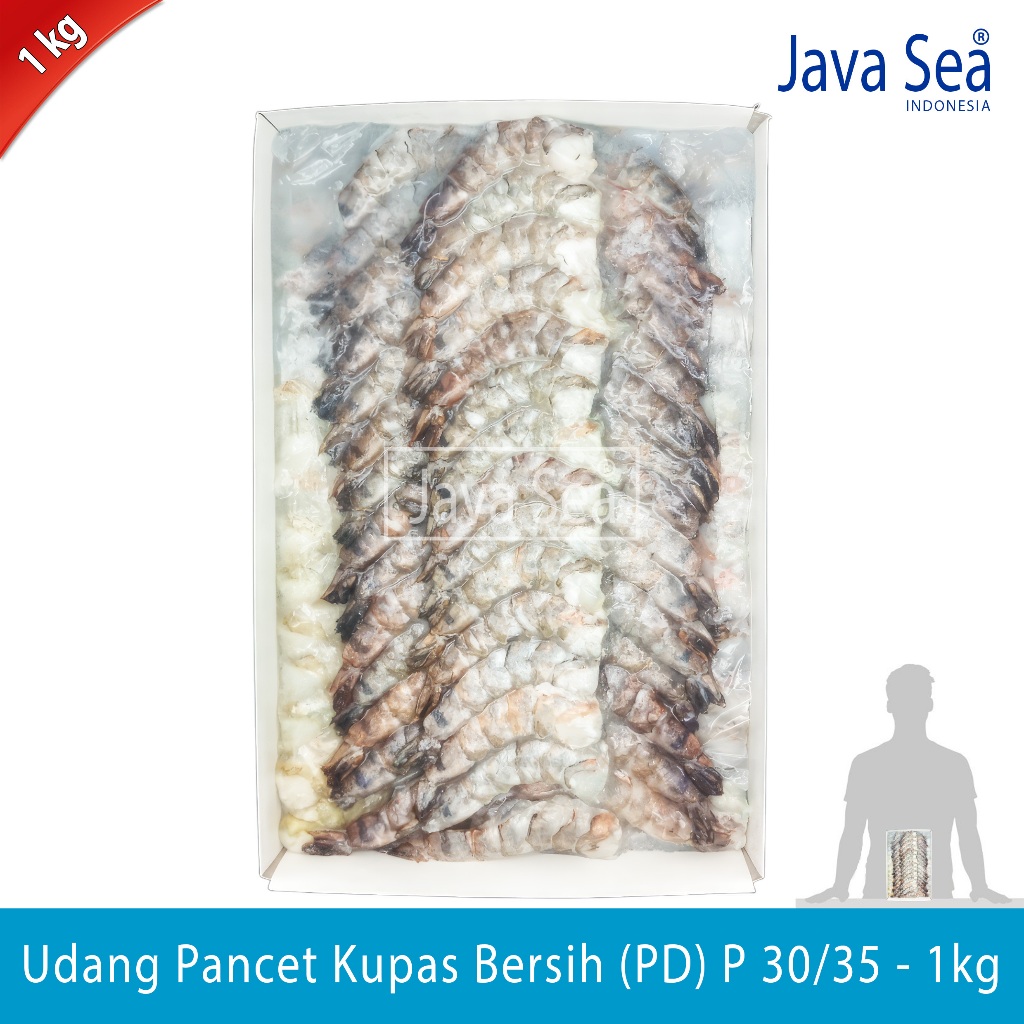 

Udang Pancet Kupas Bersih PD P 30/35 pack 1kg Java Sea