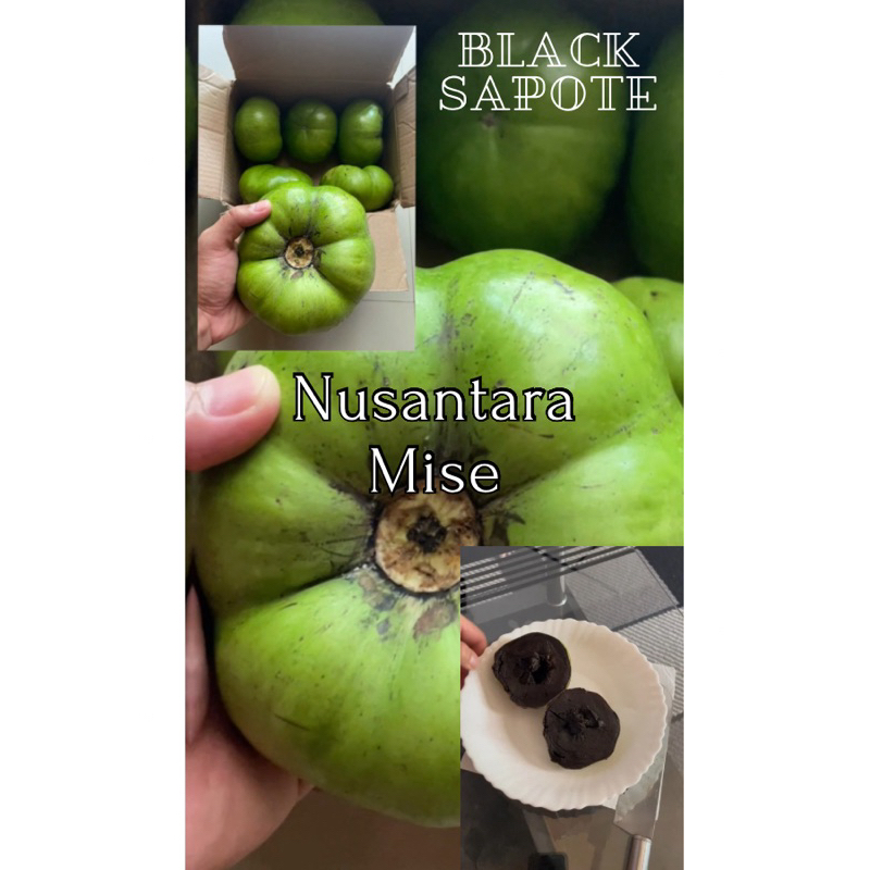 

Buah black sapote buah giant premium 1kg